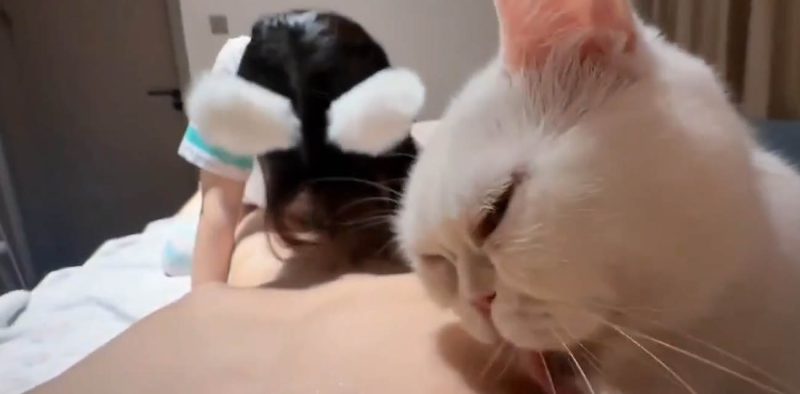 瓜友带萝莉女友与猫咪共谱双飞狂欢 喵咪舔奶头女友口交猎奇又刺激！-51吃瓜网