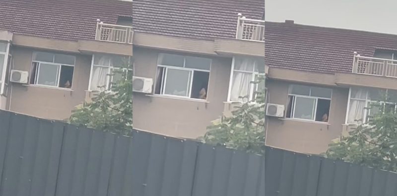 全网疯求的苏联大座无码版大瓜！女子家中不关窗户疯狂骑乘 激情摇摆被路人偷拍 现场视频全网疯传！-51吃瓜网