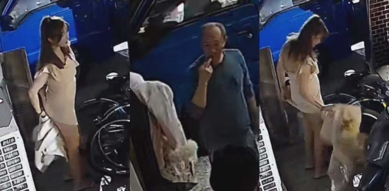 台湾小仙女拉完屎用外套擦屁股 不知情大爷路过后 用手指沾完吃了好几口 说是巧克力甜甜的！太TM猎奇了！-51吃瓜网