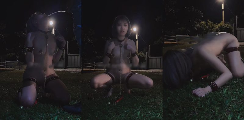 台湾美女网红 Lunana露娜 户外全裸调教 享用主人的圣水 还要舔干净地上的尿！-51吃瓜网