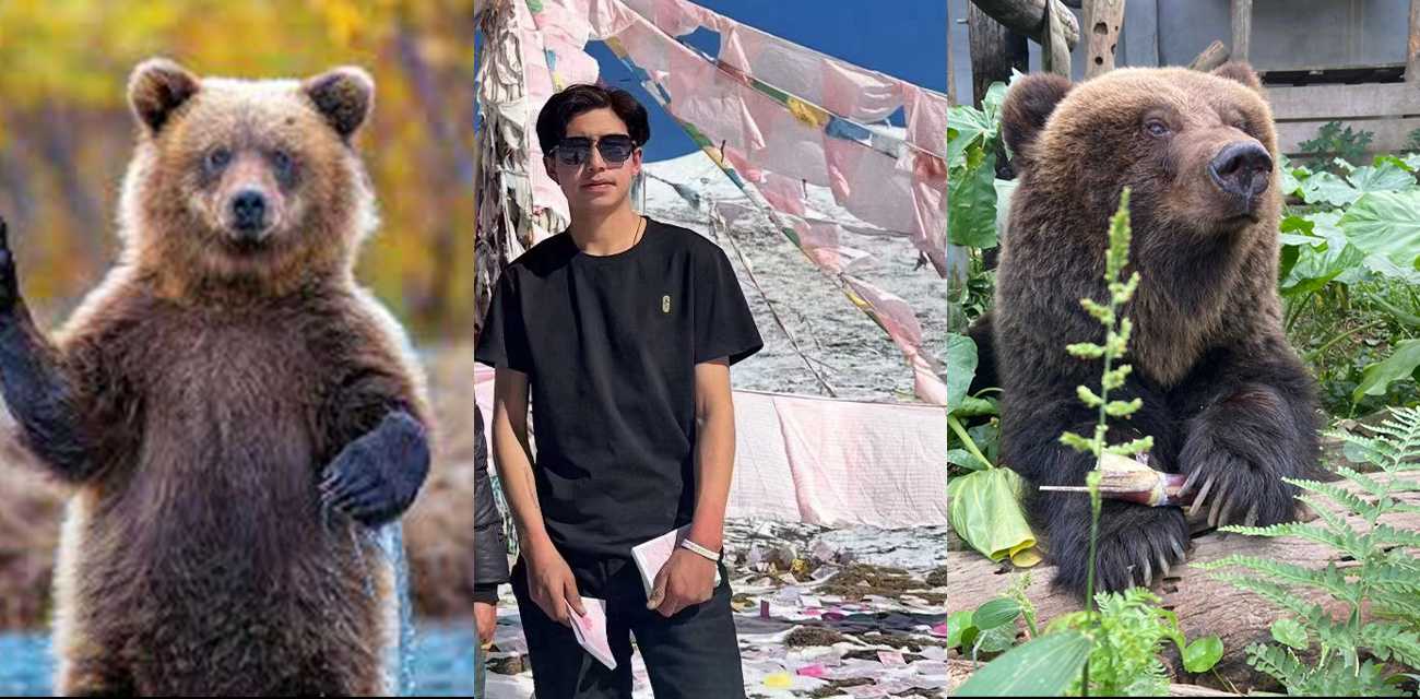 男子西藏旅游不幸遭棕熊袭击 被发现尸体时脸部被啃伤的只剩一半 视频抖音疯求 血腥慎入！ 热搜 HOT - 51吃瓜网-51吃瓜网