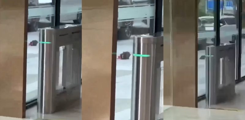 深圳龙华新龙大厦 老板拖欠工资被员工砍掉头并丢下楼 随后员工跳楼身亡 现场视频流出 血腥慎入！-51吃瓜网