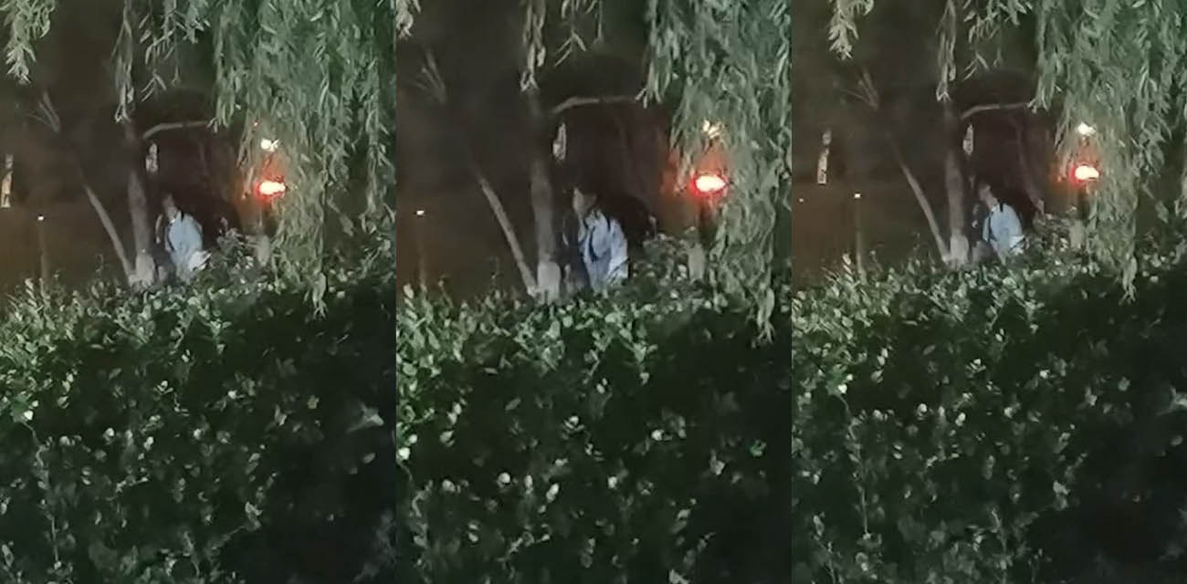 山东东营55岁大爷在夜市小树林狂欢 后入站立爆操大妈 仅仅一分多钟就潦草收场！ - 51吃瓜网-51吃瓜网