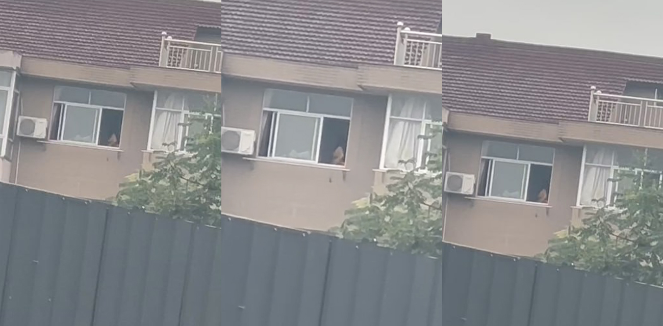 全网疯求的苏联大座无码版大瓜！女子家中不关窗户疯狂骑乘 激情摇摆被路人偷拍 现场视频全网疯传！ - 51吃瓜网-51吃瓜网