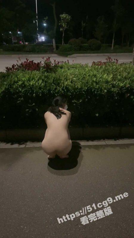 推特淫荡人妻性玩物 林淑怡 私拍！全裸压马路寻刺激 男公厕全裸待插后入怼穴 小区楼道露出做爱-51吃瓜网