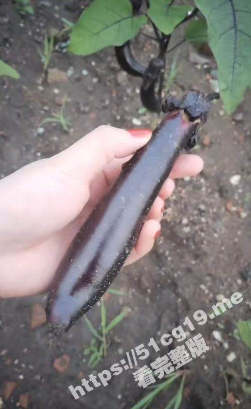 爆乳女神 果如CC 户外烂尾楼扣穴潮喷后 再到菜地就地取材 摘下新鲜茄子插穴自慰高潮喷水！-51吃瓜网