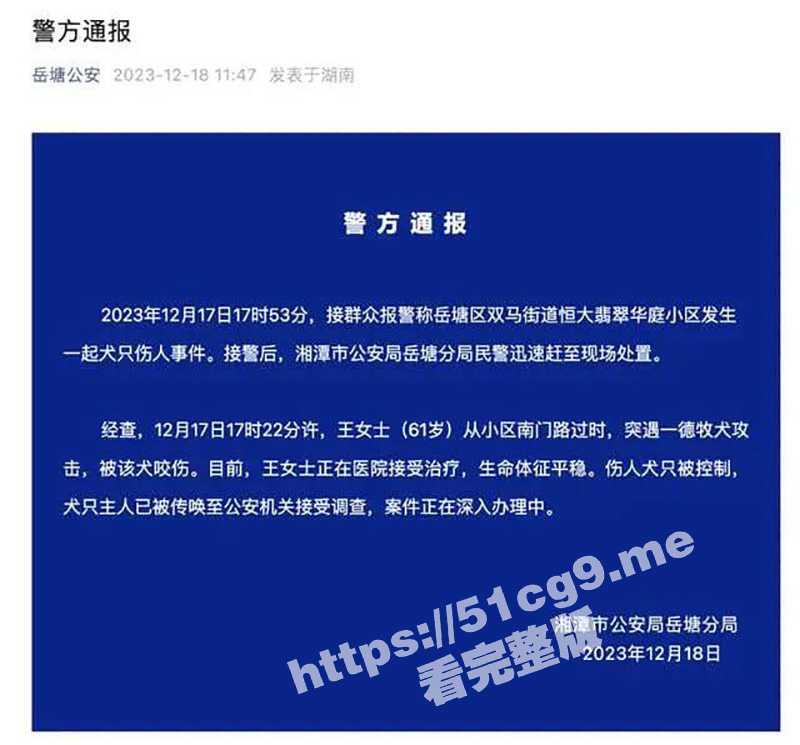 大型犬咬人事件！饭店洗碗工阿姨 被德牧攻击咬住不松口 青年见义勇为 阿姨正在接受治疗！-51吃瓜网
