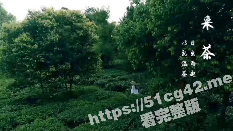 乳茶！高端的食材只需简单的烹饪 巨乳少妇漫步在茶田间 将刚采摘的茶叶用母乳浸泡！ - 51吃瓜网-51吃瓜网