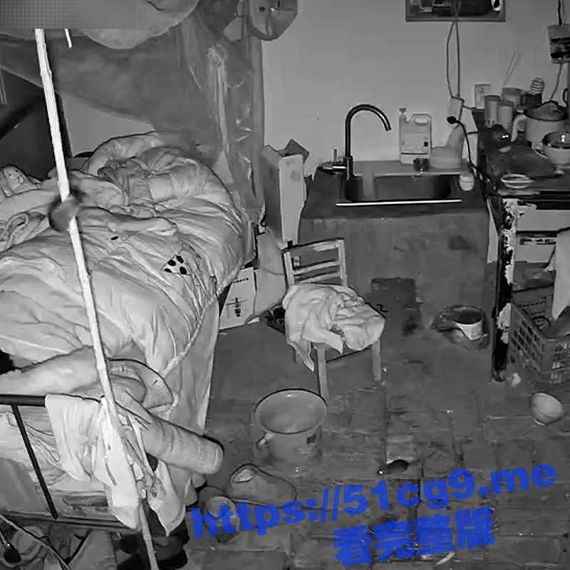 与鼠同睡 ！男子晚上睡觉一群老鼠在床上上蹿下跳 这房间真TM热闹！-51吃瓜网