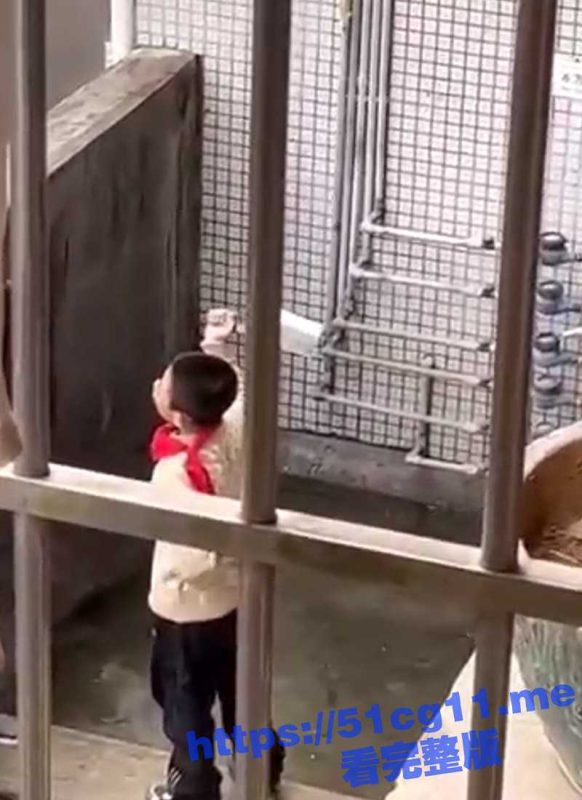 磨刀霍霍向老爸！逆子小学生要零钱不成 拿菜刀砍老爸 老爸被吓的瑟瑟发抖-51吃瓜网