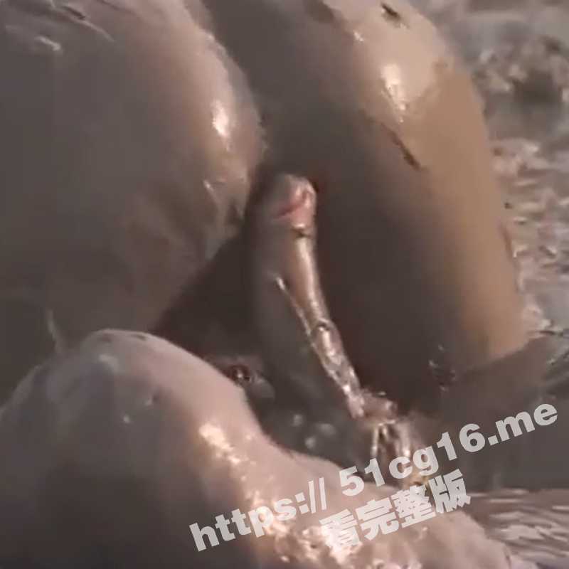 真是活久见！泥浆里翻云覆雨 激情做爱 鸡巴裹上泥浆化身黑泥鳅钻进同样灌满泥浆的骚逼！-51吃瓜网