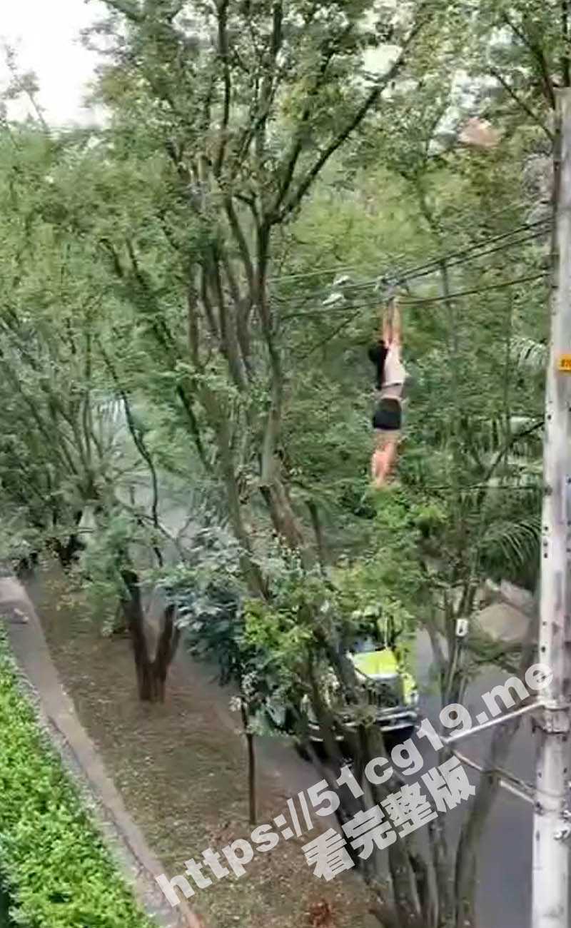 这是咋挂上去的？妹子双手挂在十几米高的电线上 体力不支摔在树上倒地不起！ - 51吃瓜网-51吃瓜网