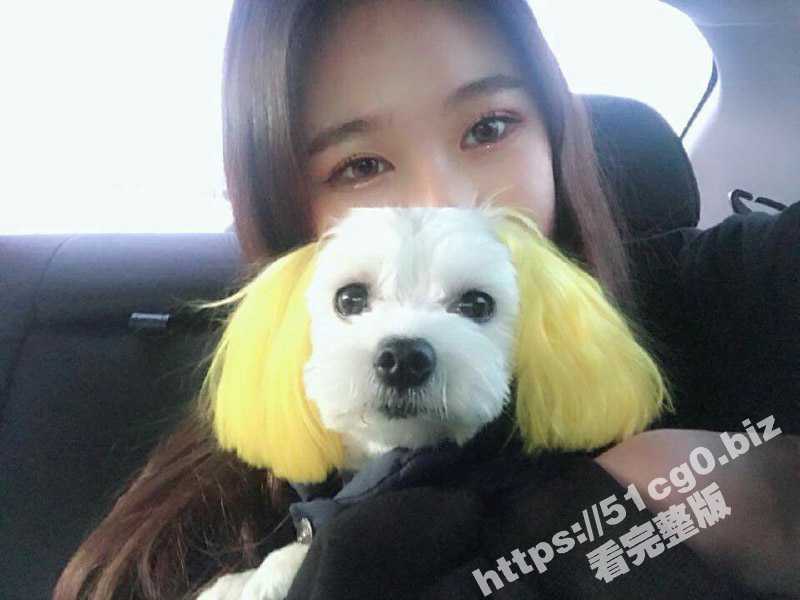 超级粉嫩可爱美少女 微胖超高颜值 被土豪包养调教 套上可爱狗链玩sm情趣 颜值是真高啊-51吃瓜网