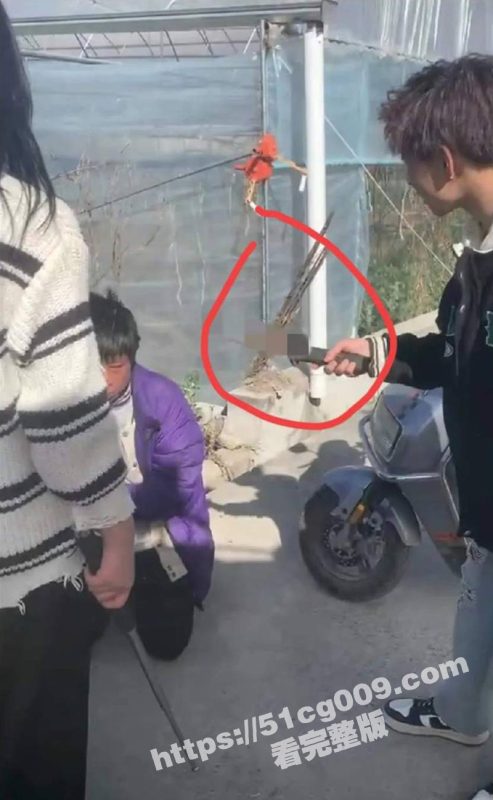 古惑仔看多了吧！四川冕宁 女孩纠集多人围殴霸凌男孩 长达8分钟殴打视频流出！-51吃瓜网
