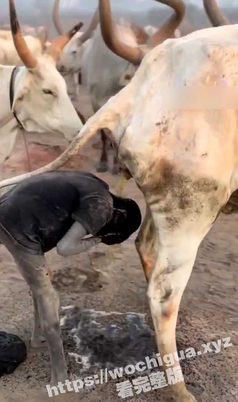 吃瓜猎奇！南苏丹部落的小孩用热乎的牛尿洗澡 他们认为牛尿具有杀菌作用 可以使他们免受蚊虫叮咬 - 51吃瓜网-51吃瓜网