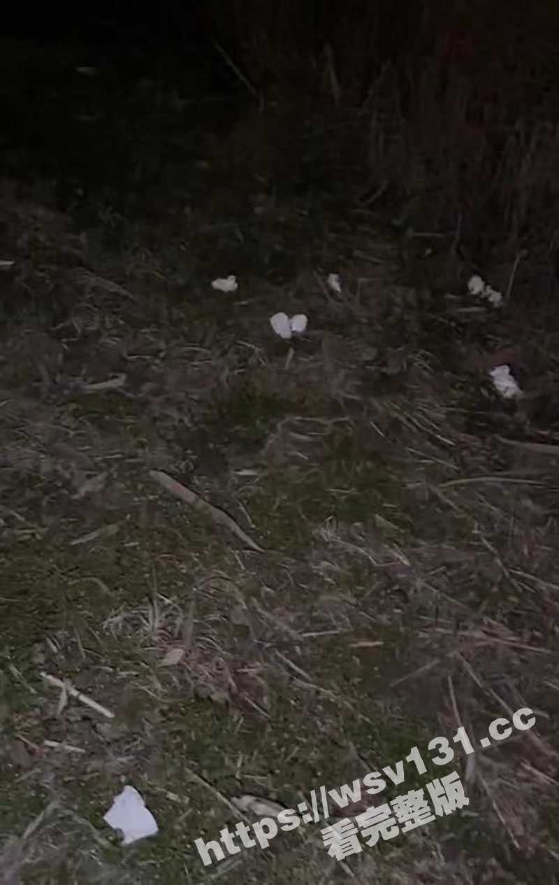 春天真的来了！江苏旅游职业学院 小树林里遍地纸巾避孕套 还有小情侣现场直播！ - 51吃瓜网-51吃瓜网