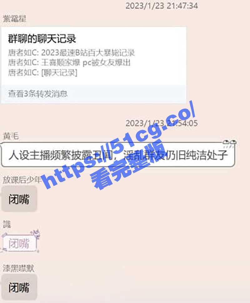 B站百大主播 CSGO王喜顺 家暴嫖娼被女友曝光 （附录音聊天记录） - 51吃瓜网-51吃瓜网