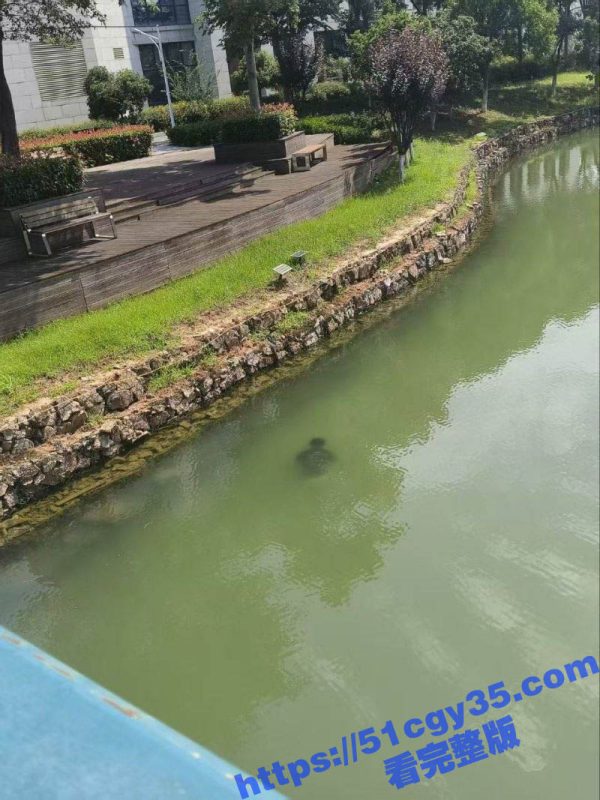 武汉中国地质大学未来城校区惊传溺水悲剧 学生尸体湖中被捞出 校方封锁现场紧急点名！-51吃瓜网
