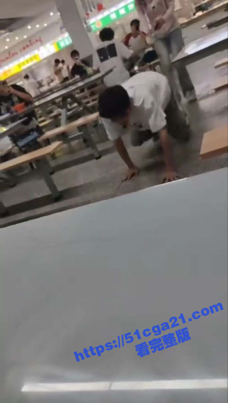 大学食堂炸裂一幕 女子当众遛狗 男生戴狗绳学狗叫爬行 瓦学弟都被训成宠物了! - 51吃瓜网-51吃瓜网