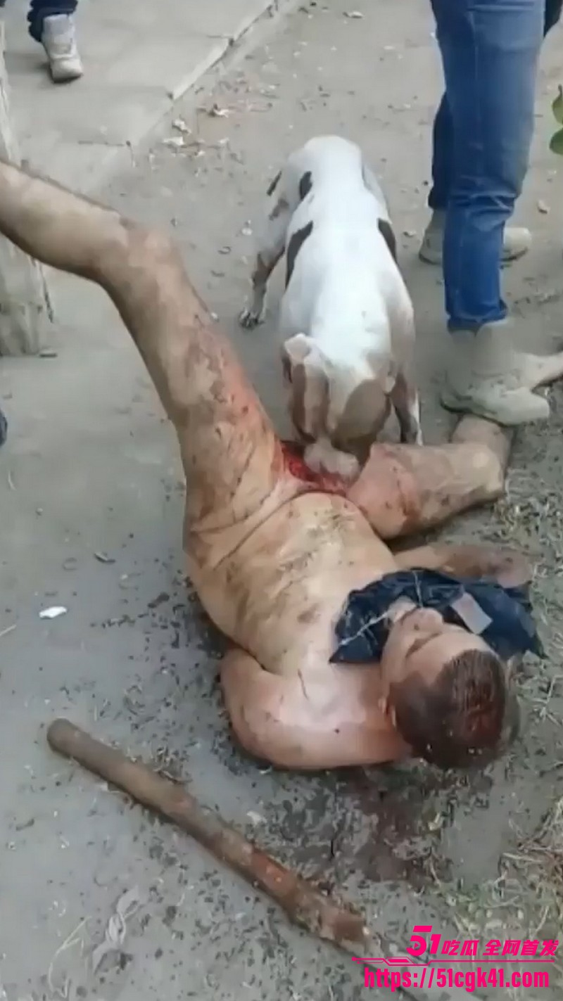 墨西哥猎奇事件！30岁裸男性侵遭黑帮私刑 斗牛犬生吞生殖器 血腥惨叫震天 胆小瓜友慎入！ - 51吃瓜网-51吃瓜网