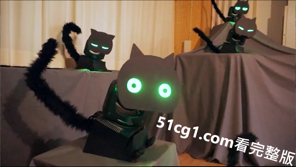 #猫猫头 总是凝望着你 - 51吃瓜网-51吃瓜网