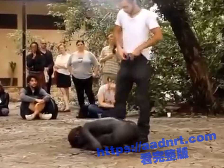 超级震撼的行为艺术!艺术家在危地马拉表演行为艺术 众人轮番对着一个小黑人身上撒尿! - 51吃瓜网-51吃瓜网