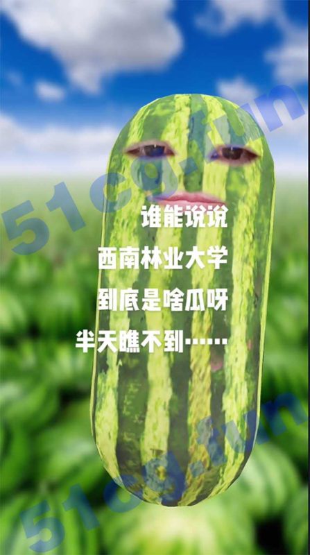火爆热瓜！西南林业大学的瓜，小树林情侣，八块腹肌？-51吃瓜网