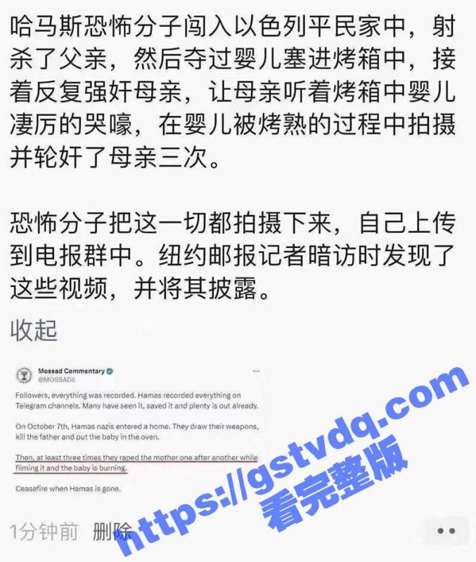 网传哈马斯恐怖分子闯入平民家里 射杀父亲 强暴母亲 还虐杀婴儿了 视频来了 真假自辨 不占立场只吃瓜！-51吃瓜网