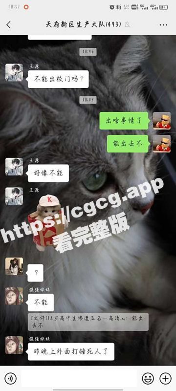 小菜鸡小身板 不行就不要学人打架 这下好了 旁人跪下求你不要死-51吃瓜网
