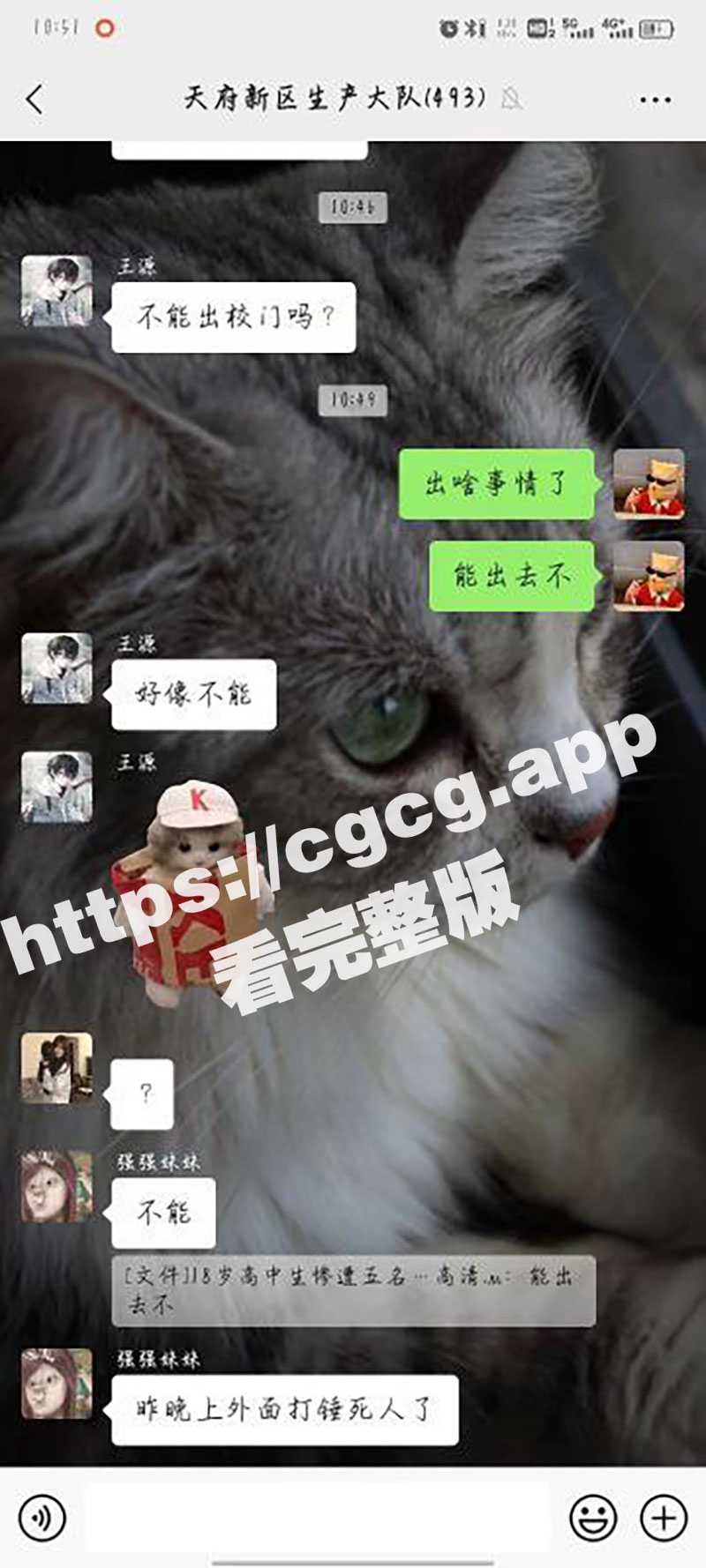 小菜鸡小身板 不行就不要学人打架 这下好了 旁人跪下求你不要死 - 51吃瓜网-51吃瓜网