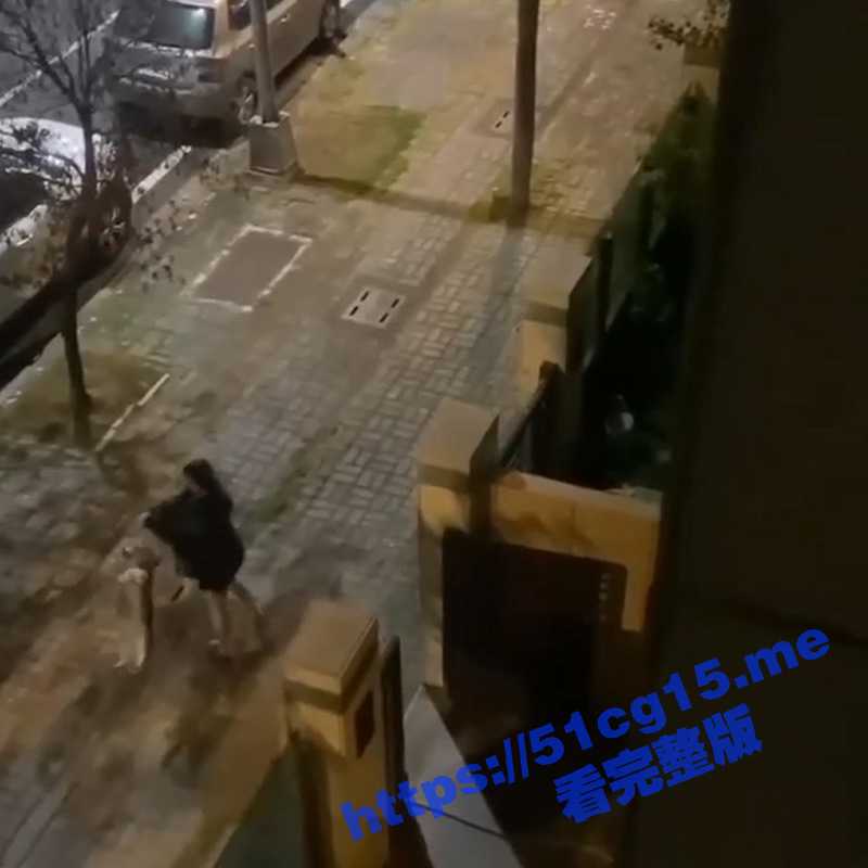 台湾台南安南区 一名女子残忍虐狗 把狗拎起来用力连摔在地上！-51吃瓜网