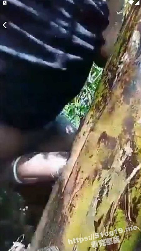 日动物还能理解 但是日树干有点接受不了！-51吃瓜网