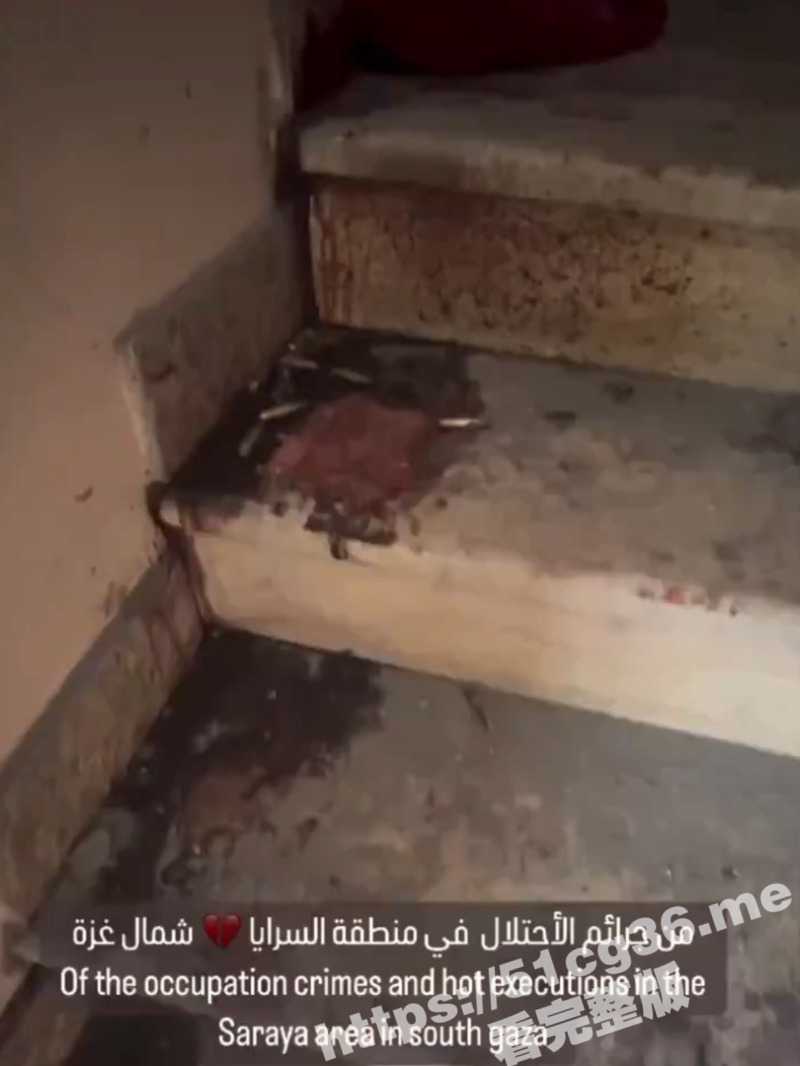 画面不适慎点 这些巴勒斯坦人被脱掉衣服后 在加沙北部的一所房子里被屠杀 - 51吃瓜网-51吃瓜网