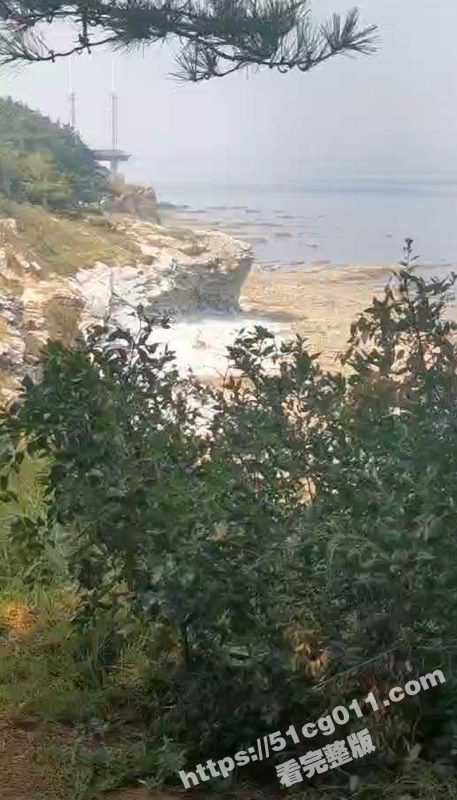 情侣在海边的石头上全裸啪啪被变焦镜头偷拍 大白天的吹着海风操着逼 真是惬意又刺激啊-51吃瓜网