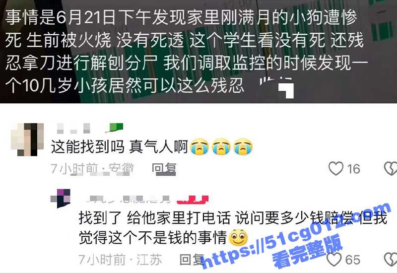 网友爆料 江苏淮安一个小畜生把满月的小狗虐待致死 拿火烧没杀死后又拿刀砍死分尸 真是太残忍了-51吃瓜网