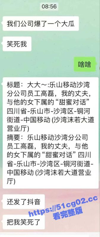 “我不骚都要被强奸 更别说骚” 乐山移动 高磊出轨女下属宋美琴 聊天记录不堪入目 小骚逼一摸就喷尿！-51吃瓜网
