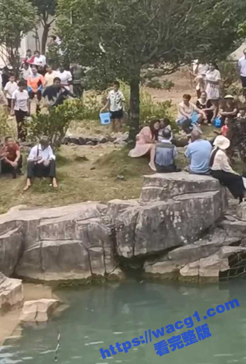 贵州女子跟情夫七夕相约 正你侬我侬之时 被丈夫抓奸用树枝猛抽 BGM非常应景！ - 51吃瓜网-51吃瓜网