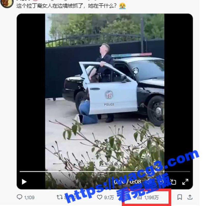外网疯传拉丁裔美女边境被抓 跪在地上当场给美国警察口交 尽显母狗本色-51吃瓜网