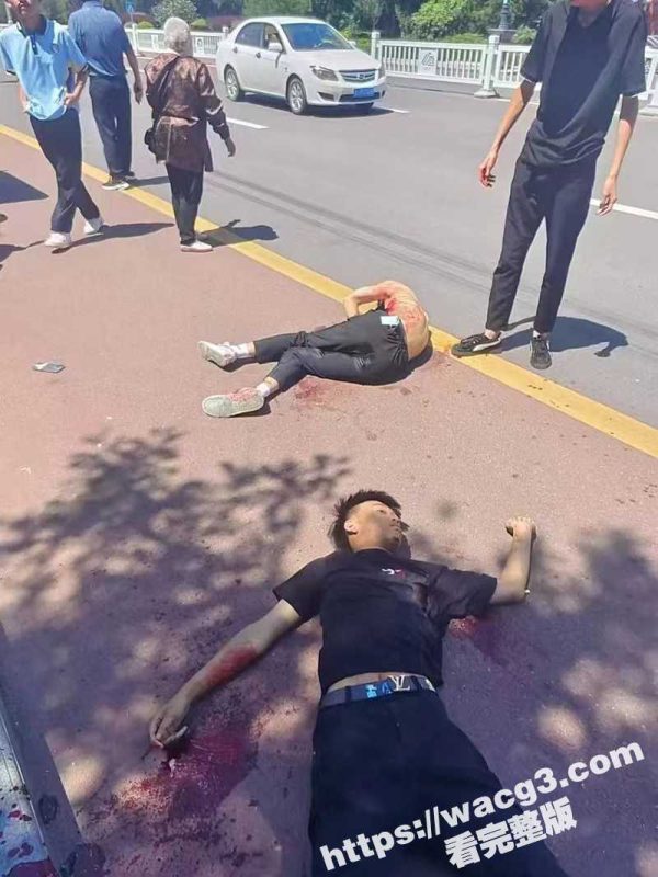 甘肃校园霸凌被反杀 高中生1V5社会小混混1死1伤3逃  明年就要高考太可惜了！-51吃瓜网