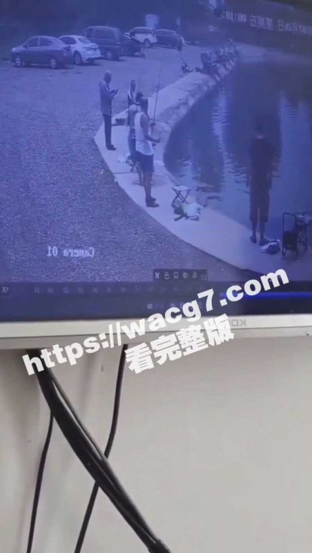 钓鱼佬太坐怀不乱了 看到有人被倒车撞到水里面都无动于衷 只惦记着自己手里的鱼竿-51吃瓜网