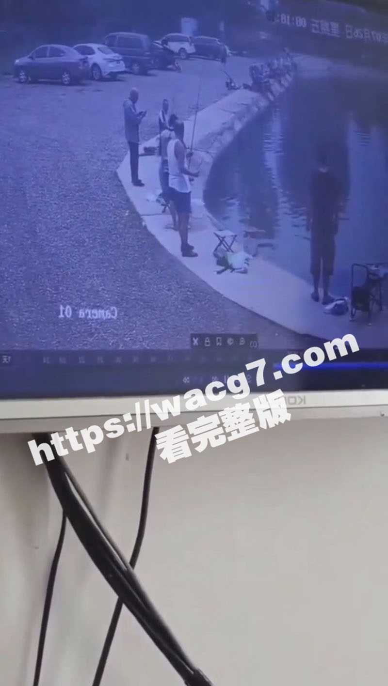 钓鱼佬太坐怀不乱了 看到有人被倒车撞到水里面都无动于衷 只惦记着自己手里的鱼竿 - 51吃瓜网-51吃瓜网