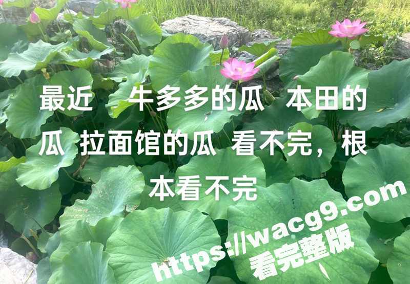 全网疯求的青海本田车震瓜震撼来袭！青海回教伊斯兰妹子主动翘臀挨屌淫叫连连 车震到双腿发软！-51吃瓜网