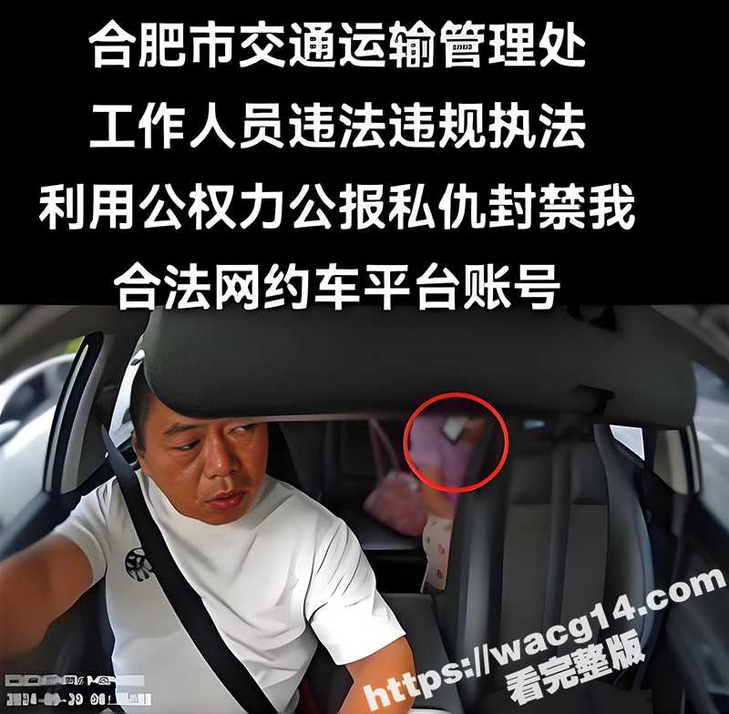 合肥亮证姐 强行执法女结局 司机身份曝光 官方通报 涉事人员调离岗位！ - 51吃瓜网-51吃瓜网