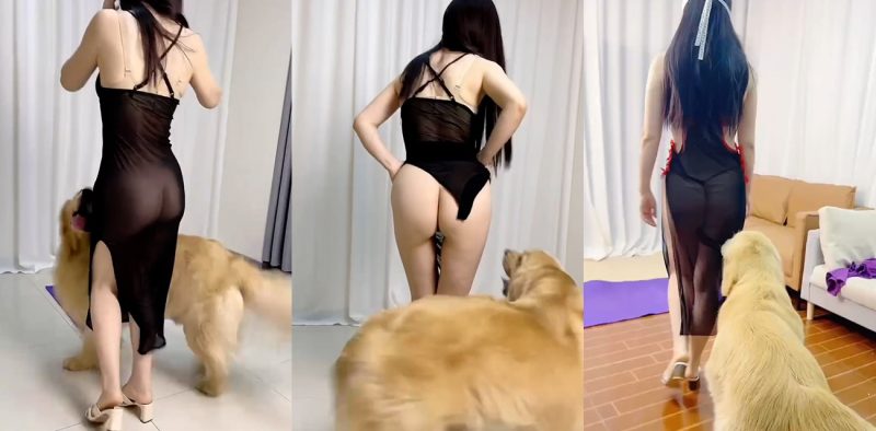 51吃瓜 上周热瓜 TOP10 10/21-10/27-51吃瓜网