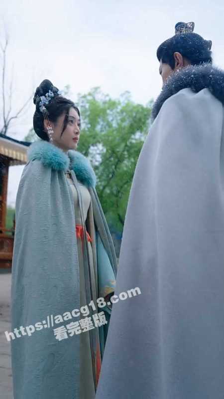 复仇短剧《回京后公主她艳杀四方》 被王爷夫人误会痛下狠手  失去腹中胎儿后冷血复仇-51吃瓜网