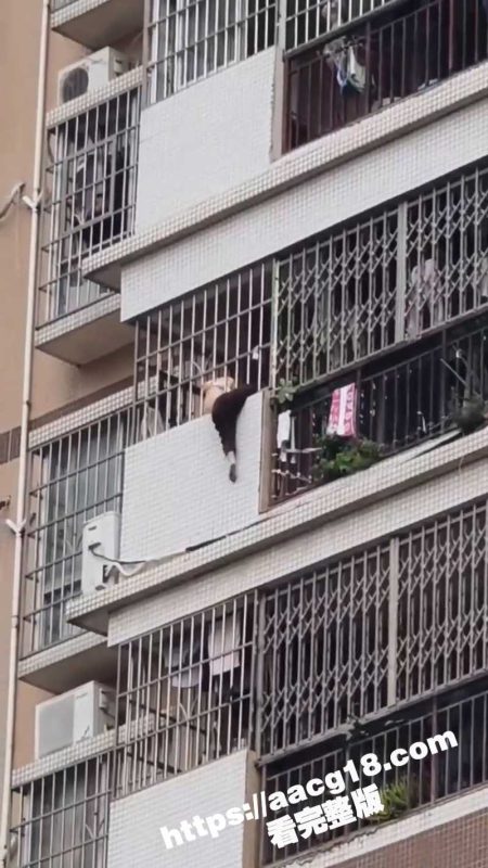 梧州藤县藤州镇杉木冲 7岁儿童坠落高居民楼阳台险些丧命 见义勇为大叔徒手爬楼将其救下 给救人英雄点赞-51吃瓜网