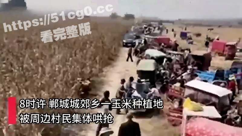 河南省周口市郸城郊乡 500多村民集体哄抢粮食事件 无地农民 从捡演变成哄抢 公安出动特警维持秩序-51吃瓜网
